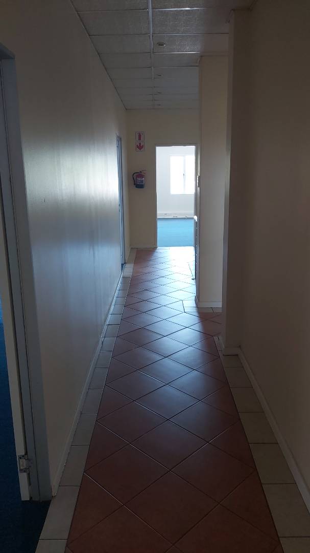 To Let commercial Property for Rent in Newton Park Eastern Cape